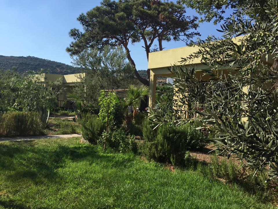 Buyuk Yildizsaray Otel Ayvacik ภายนอก รูปภาพ